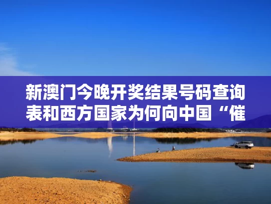 新澳门今晚开奖结果号码查询表和西方国家为何向中国“催要”稀土与