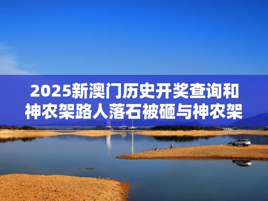 2025年5月 第109页