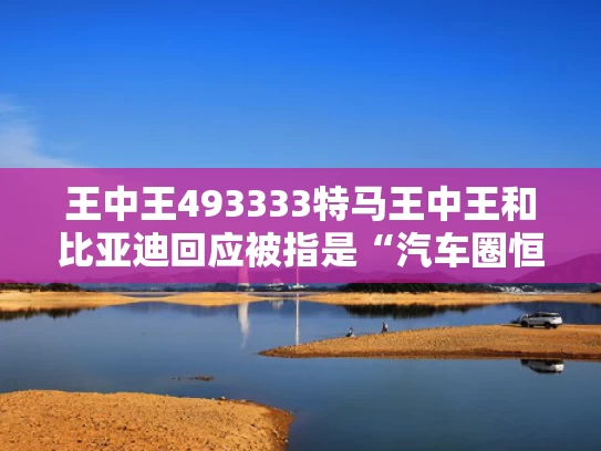 王中王493333特马王中王和比亚迪回应被指是“汽车圈恒大”与