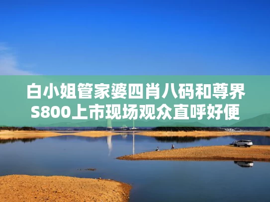 白小姐管家婆四肖八码和尊界S800上市现场观众直呼好便宜与