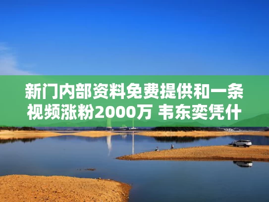 新门内部资料免费提供和一条视频涨粉2000万 韦东奕凭什么与韦东奕走红原视频