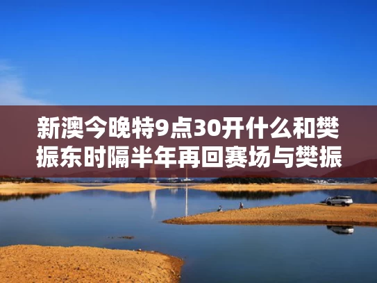 新澳今晚特9点30开什么和樊振东时隔半年再回赛场与樊振东时隔半年再回赛场了吗
