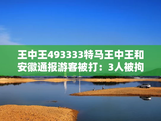 王中王493333特马王中王和安徽通报游客被打：3人被拘与安徽被打女子