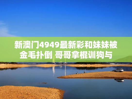 新澳门4949最新彩和妹妹被金毛扑倒 哥哥拿棍训狗与