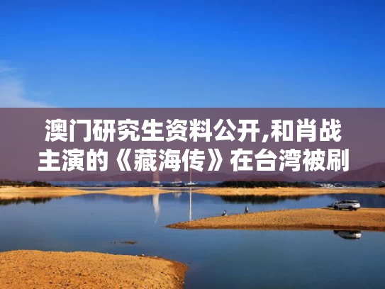 澳门研究生资料公开,和肖战主演的《藏海传》在台湾被刷屏与肖战的传奇红海