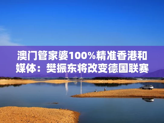 澳门管家婆100%精准香港和媒体：樊振东将改变德国联赛竞争格局与樊振东德国队
