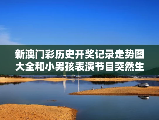 新澳门彩历史开奖记录走势图大全和小男孩表演节目突然生气“罢工”与