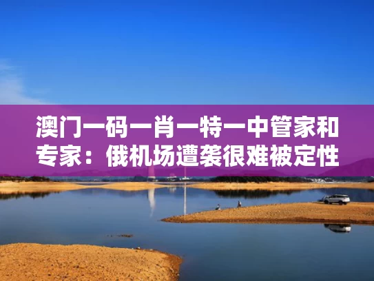 澳门一码一肖一特一中管家和专家：俄机场遭袭很难被定性为恐袭与俄罗斯空降机场