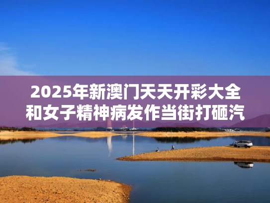 2025年新澳门天天开彩大全和女子精神病发作当街打砸汽车与精神病砸车案例