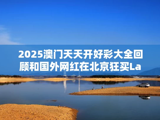 2025澳门天天开好彩大全回顾和国外网红在北京狂买Labubu与