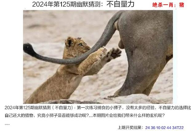 2025新澳门王中王正版和两个女首富杠起来了与两个女首富杠起来了小说