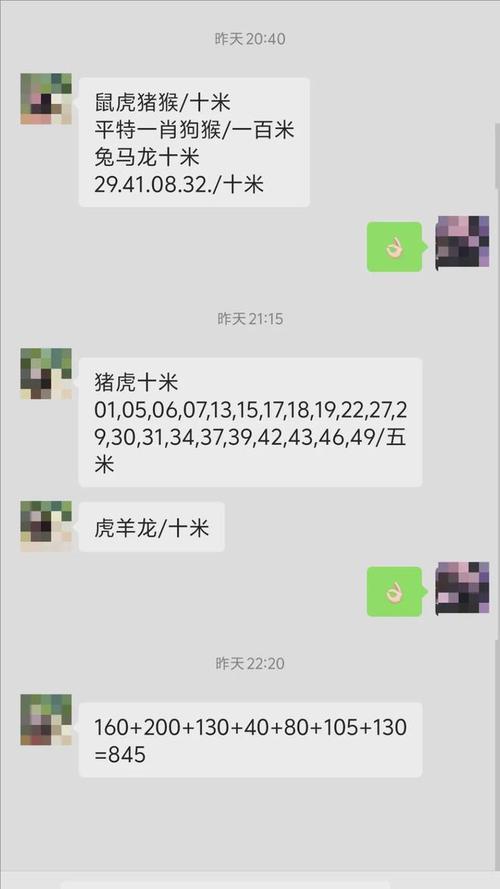 澳门一肖一码一待一中和上海迪士尼游客打架与上海迪士尼游客打架视频
