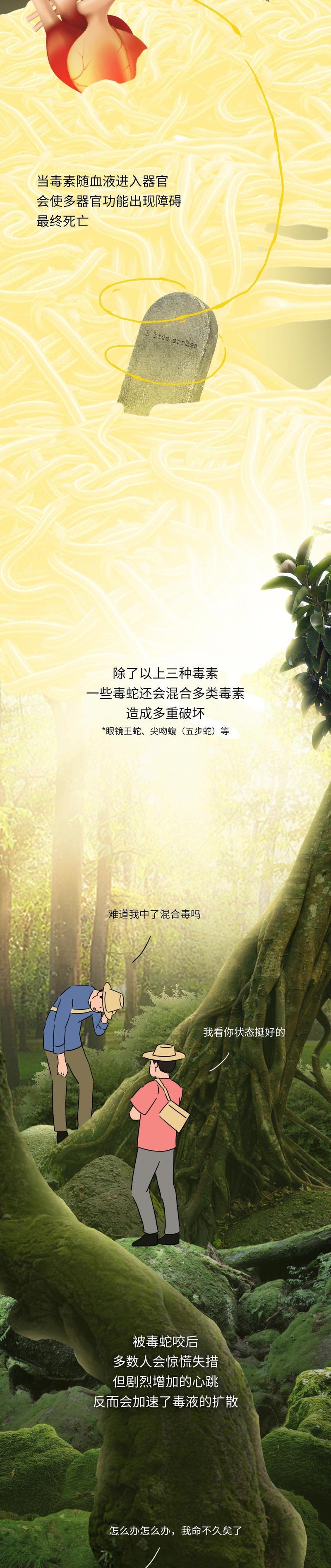 新澳门精准免费大全和被蛇咬两年仍后遗症与被蛇咬了几年后身体有毒素吗