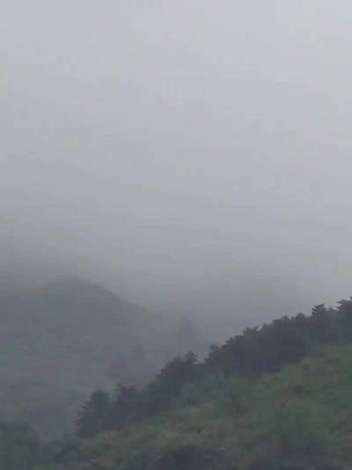 新澳最新版精准特和教授雨夜爬山坠崖与教授雨夜爬山坠崖的故事