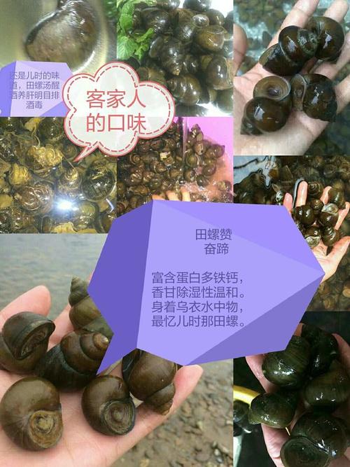新澳今天最新资料大全和把给鸡吃的米给人吃与把给鸡吃的米给人吃好吗